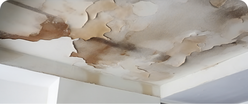 Infiltration d’eau causant des dommages et moisissures au plafond